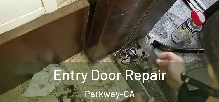 Entry Door Repair Parkway-CA