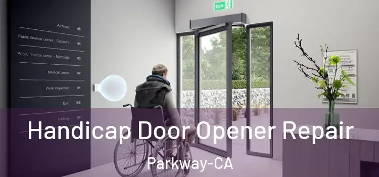  Handicap Door Opener Repair Parkway-CA