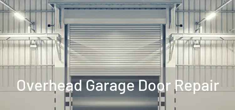  Overhead Garage Door Repair 